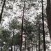 Erwin Ho - Facebook