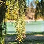 Erwin Hood - @erwinhood84 - Instagram