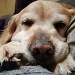 ErwinHooligan - @erwinhooligan - Instagram