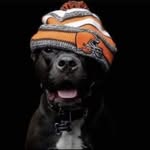 Erwin Jackson - @erwin.jackson.35 - Instagram