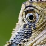 Erwin Jackson - @erwinkjnaturephoto - Instagram