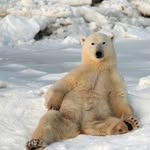 Erwin Jacobs - @erwin.jacobs.52 - Instagram