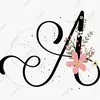 amberly jolon - @erwin.jolon3 - TikTok