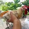Prince Erwin Joven - @prince.erwin.jove - TikTok