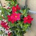 Erwin Hilde Karl - Facebook