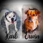 Erwin&Karl - @lieblingshunde2007 - Instagram