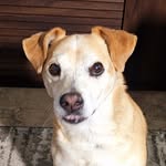 Erwin Keller - @kellererwin - Instagram