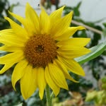 Kellermann Erwin - @kellermann.erwin - Instagram