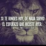 Erwin King - @erwinking313 - Instagram