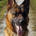 Erwin Kramer - Facebook