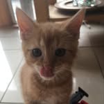 Erwin Krause - @erwinkrause30 - Instagram