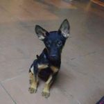 Erwin Law - @junheenlaw - Instagram