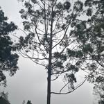 Muhammad Erwin Raihan - @erwinlawrence00 - Instagram