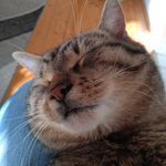 Erwin Hinterleitner - @hinterleitnererwin - Instagram