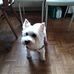Erwin Leitner - Facebook