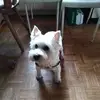 Erwin Leitner - @erwin.leitner4 - TikTok