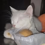 Erwin lorenz - @erwinlorenz1 - Instagram