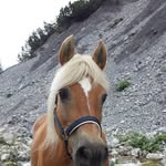 Erwin Mark - @erwin.mark.3 - Instagram