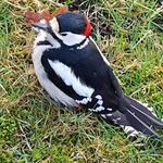Erwin Martens - @erwin.martens.9 - Instagram