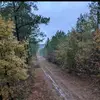 erwinmartinez970 - @erwinmartinez970 - TikTok
