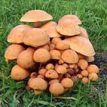 Erwin Meier - @erwinvomdeich - Instagram