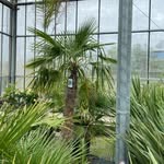 Erwin Meier - @einmeier97 - Instagram