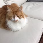 Erwin Meier - @katererwinmeier - Instagram
