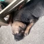 Erwin Miranda - @erwin.miranda.58760 - Instagram