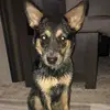 user5489891276268 - @taylor.erwinn - TikTok