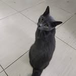 Erwin Vasquez - @erwin_vasquez1 - Instagram