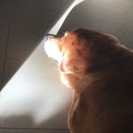 Erwin Velasco - @erwin.velasco.988 - Instagram