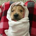 eryn haley - @eryn.animalzpage - Instagram