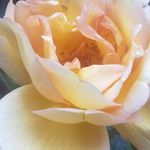 Eryn Haley - @x.eryn.nature.photography.x - Instagram