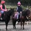 Eryn Ward - @eryn_horses21 - TikTok