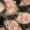 erynwhite221 - @erynwhite221 - TikTok