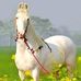 Ehsan Bab - Facebook