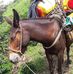Esau Agudelo - Facebook