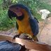 Esau Agudelo - Facebook