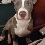 Esha King - @eshamae5898 - Instagram