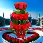 Aesha Moore - Facebook