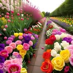 Esha Roy - Facebook