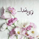 e-ekrami - @e.shad__ - Instagram