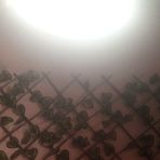 Eshal Ali - Facebook