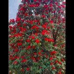 Eshan Bhatt - @eshanbhatt47 - Instagram