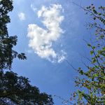 Eshan.Bhatt - @edb1234567 - Instagram