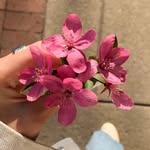 Eshika Agarwal | Nature - @kaeshnaturea - Instagram