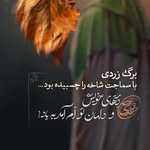 esmailhatami - @esmailhatami84 - Instagram