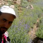 esmail.hatami - @esmail_hatmi - Instagram