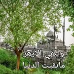 Omar Esmat Hamdy - @hl6141 - Instagram