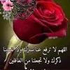 Esmat Mustafa - @esmat.mustafa - TikTok